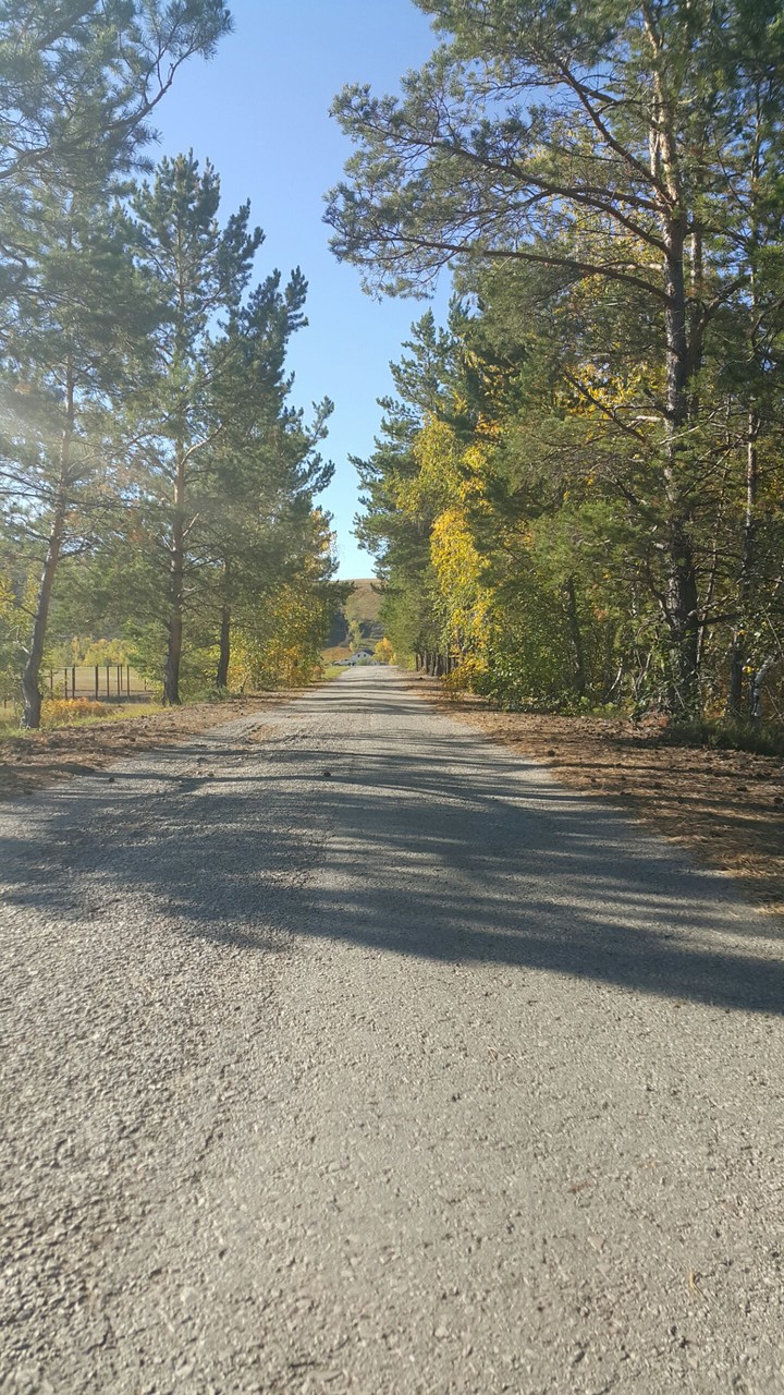 Road