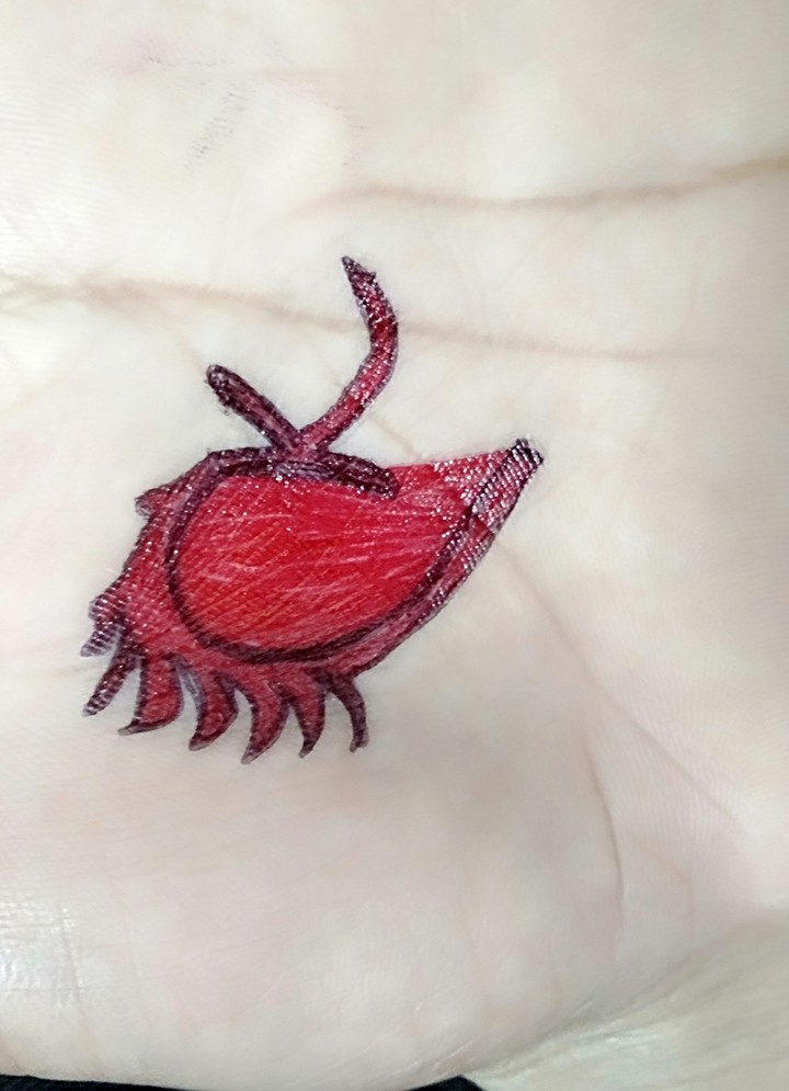 half heart