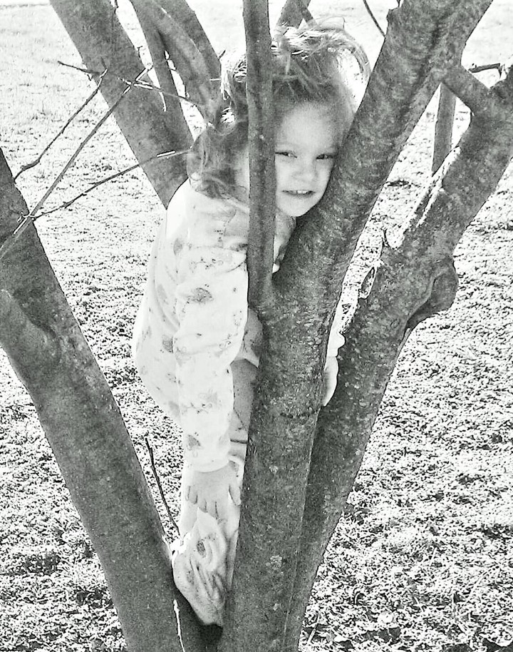 Mamaw's tree climber