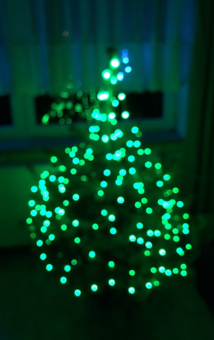 Christmas lights