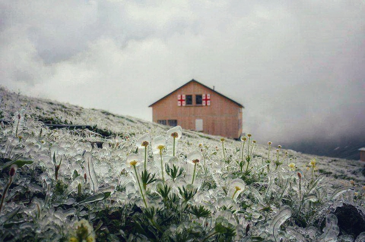 Winter