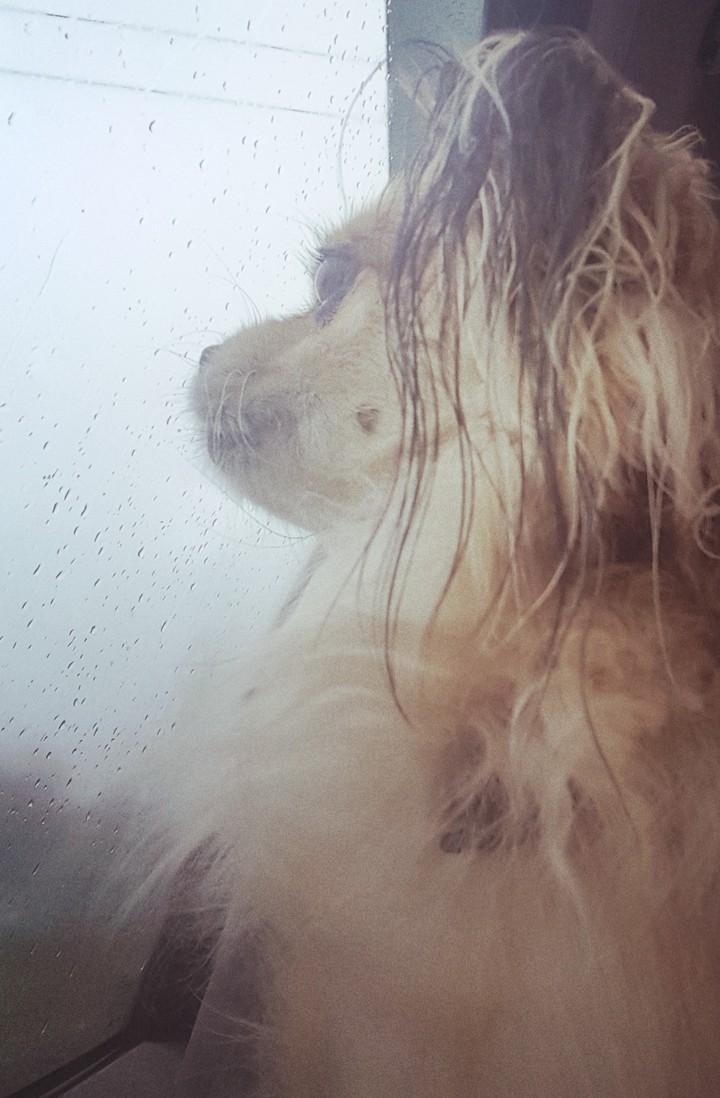 rain
