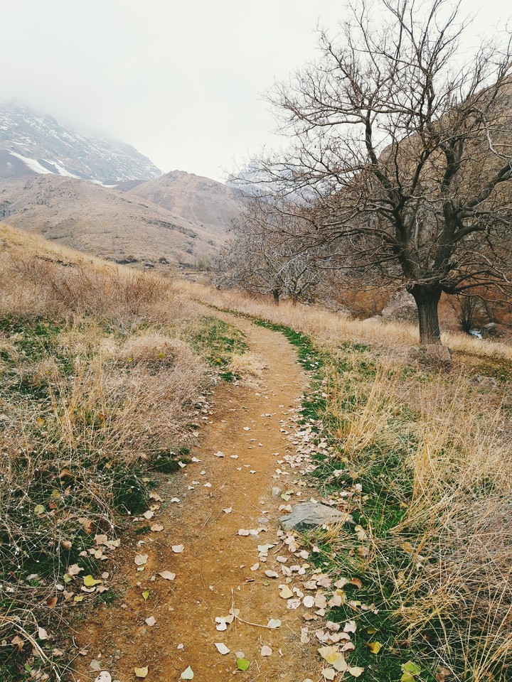 way to pradise