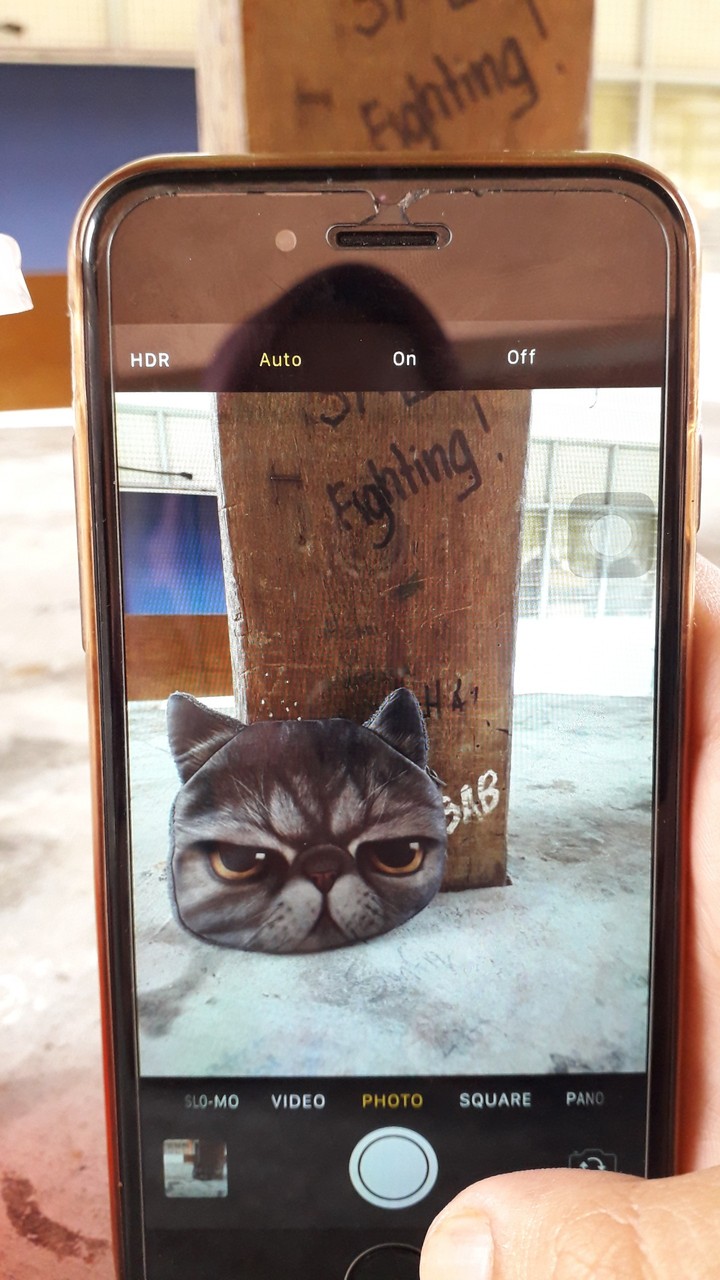 angrycat
