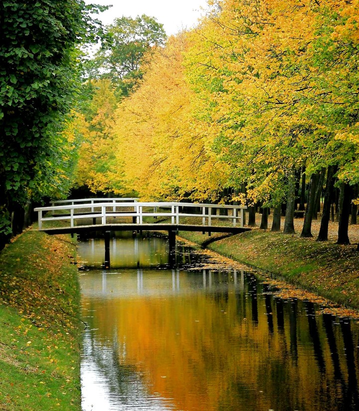 autumn