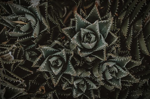 black-and-white, textile壁纸