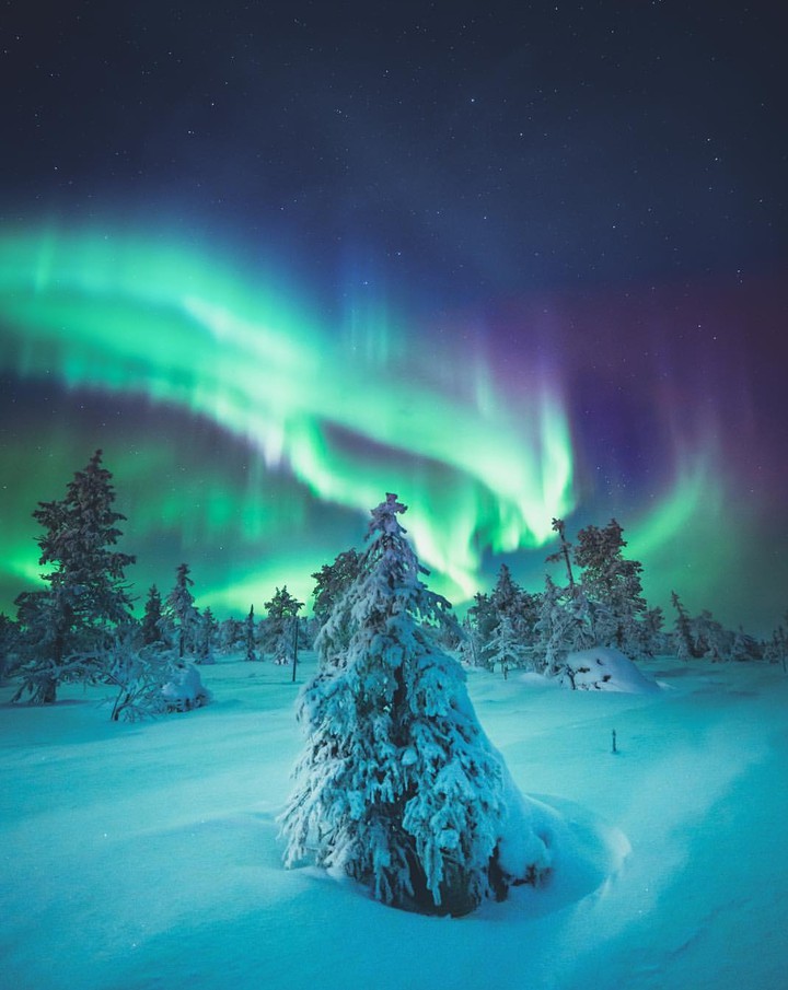 Magical nights