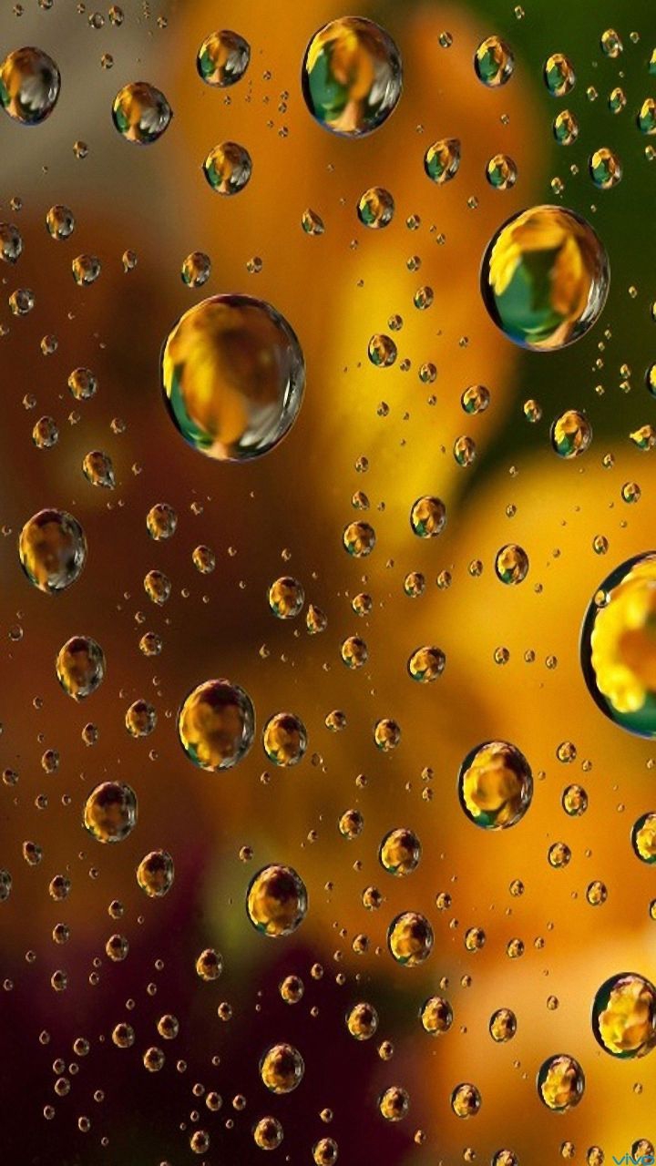 bulles