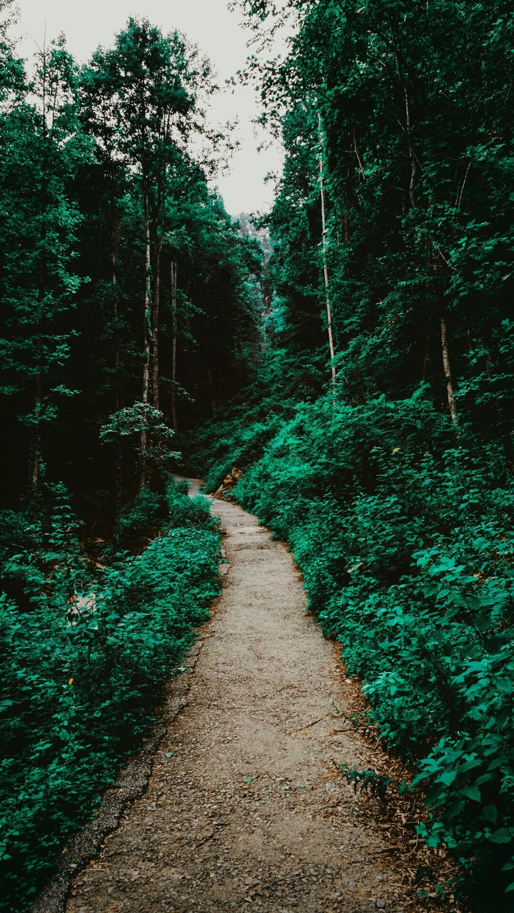 road