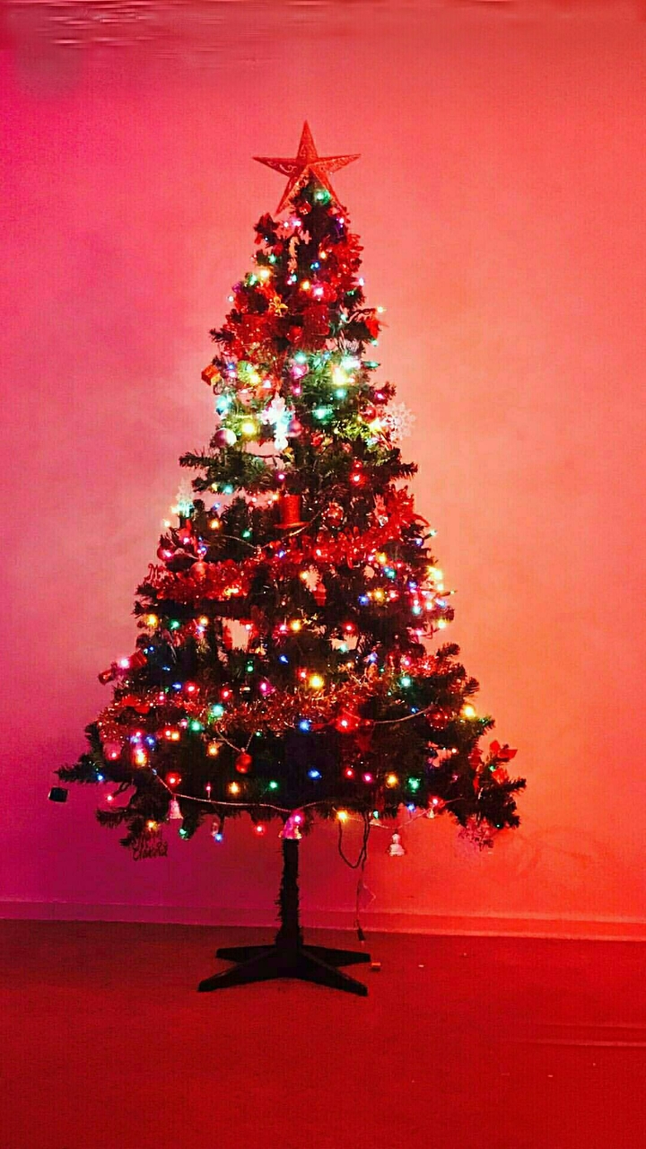 Xmas tree