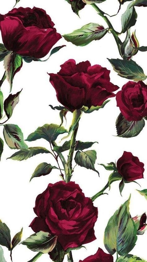 rose