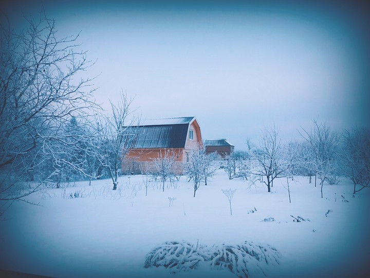 winter