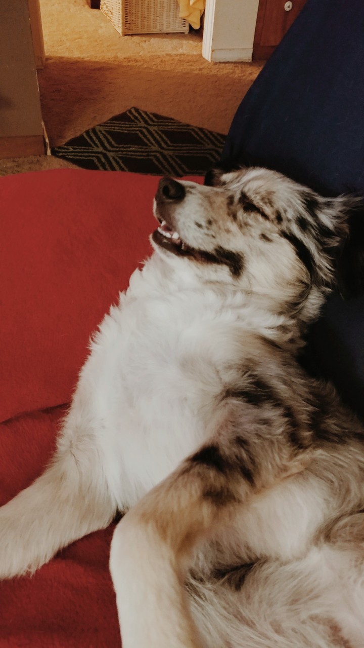 Josie smiles