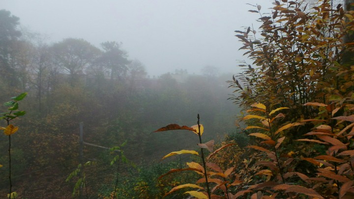 Autumn