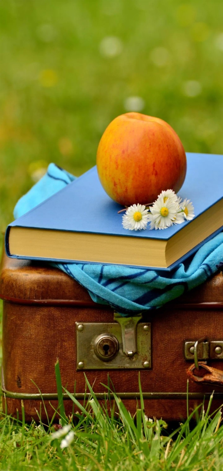 Book