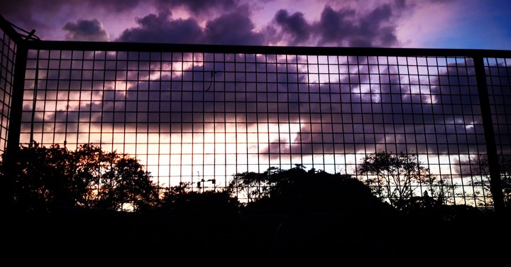 Purple Sky