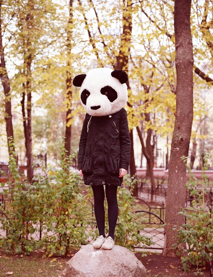 Sad Panda
