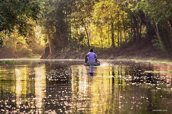 Amazonia