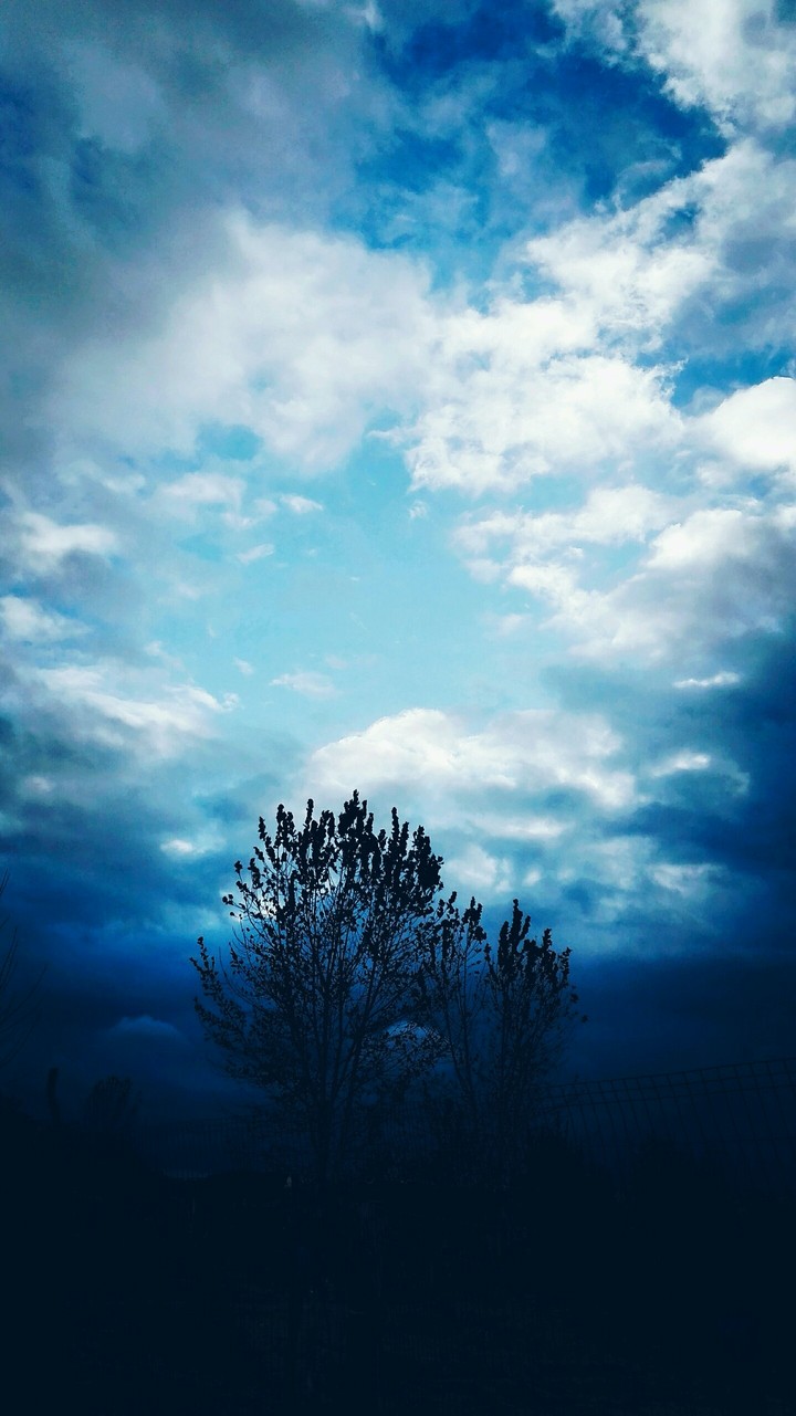 three under the sky