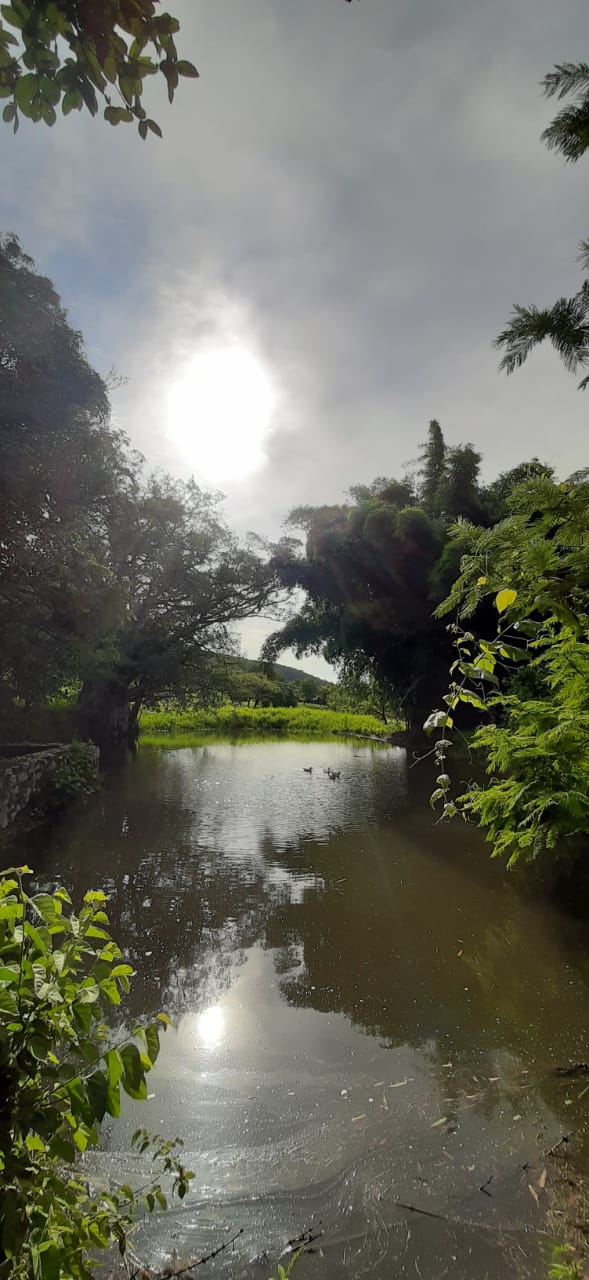 magical nature