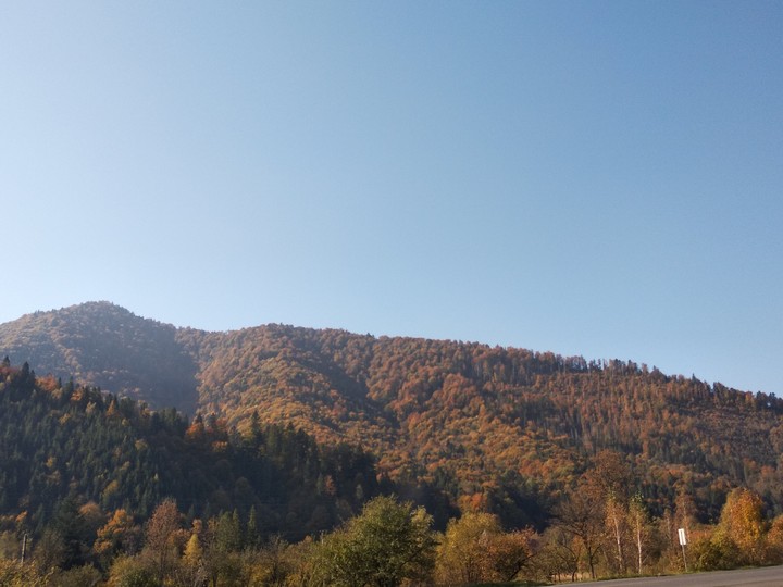 Карпаты