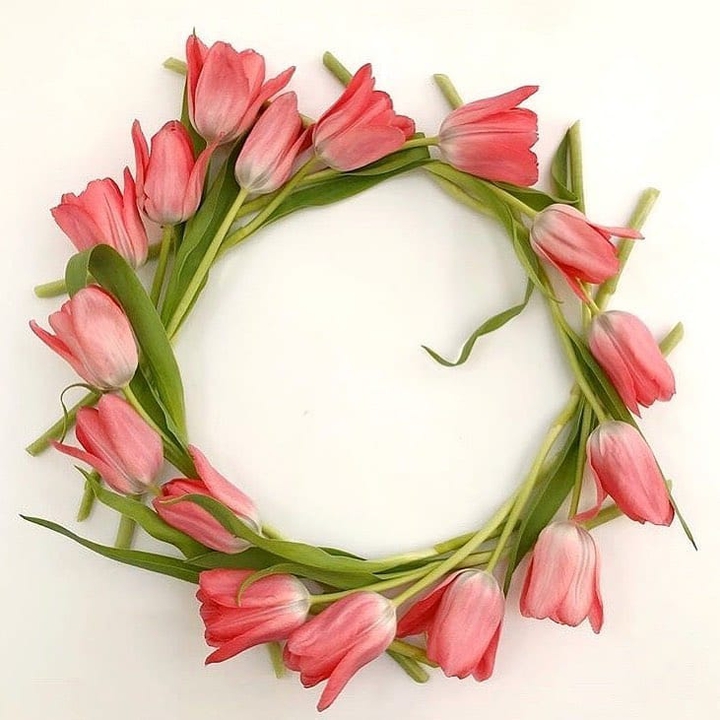 ⚘☘⚘☘