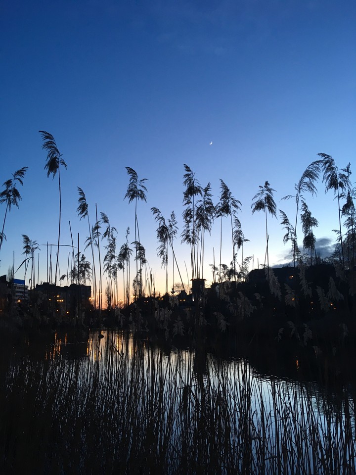 wondweful lake