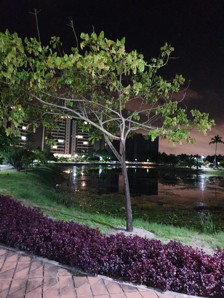 parque