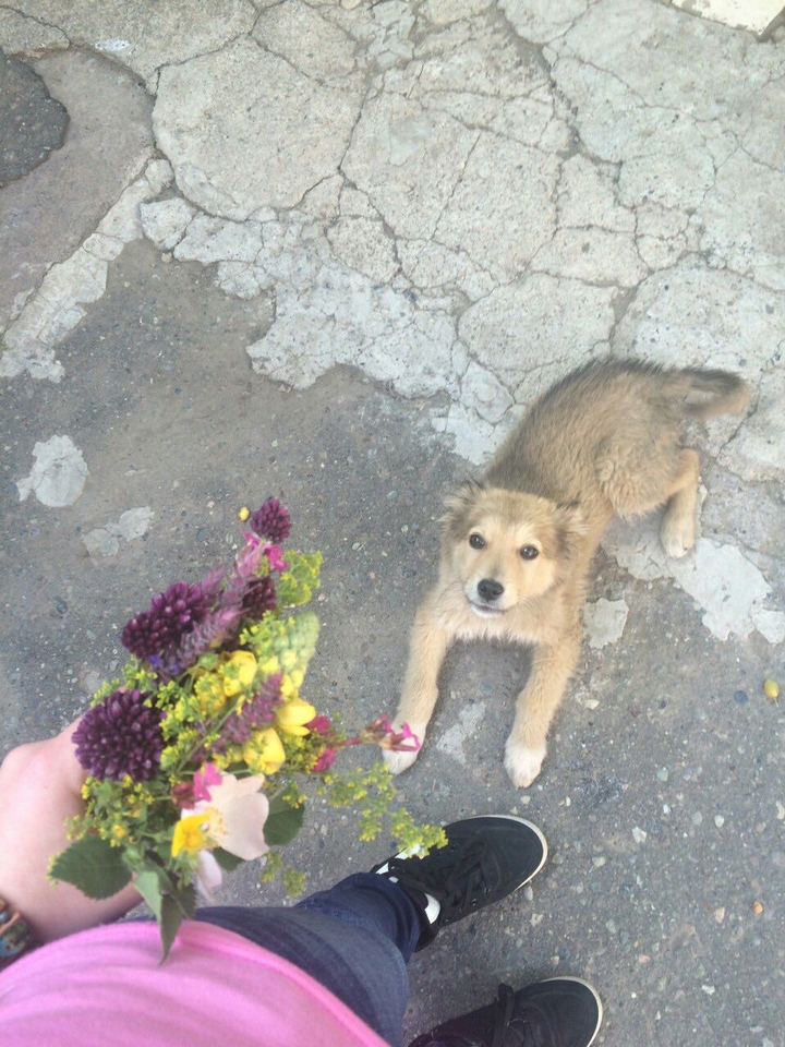 Happy Time