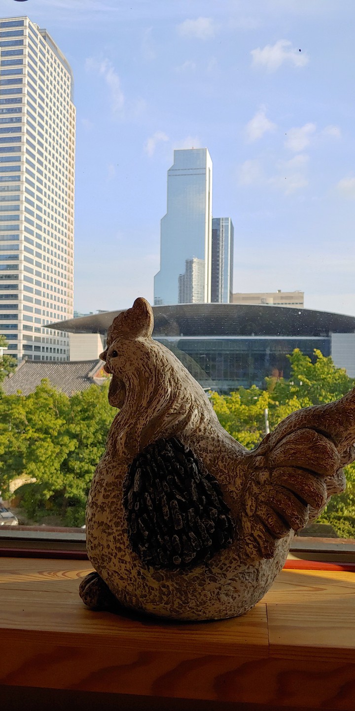 Chicken by Building