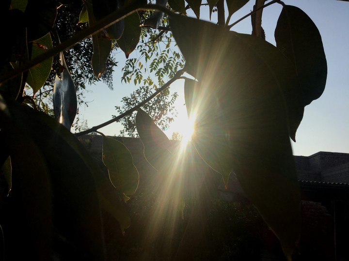 sun light
