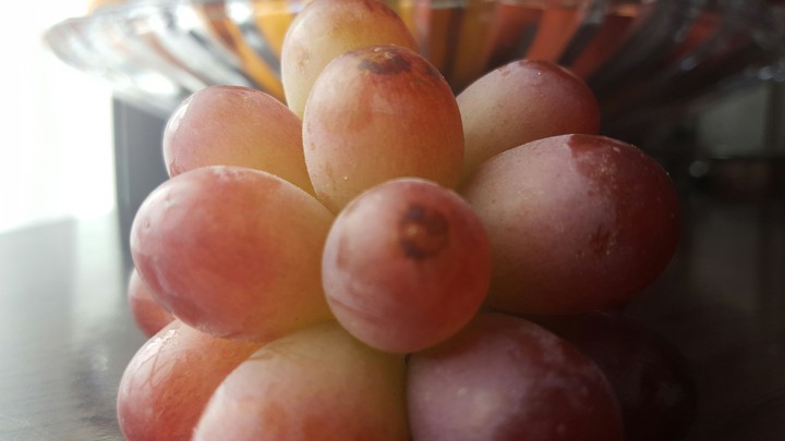 fruit