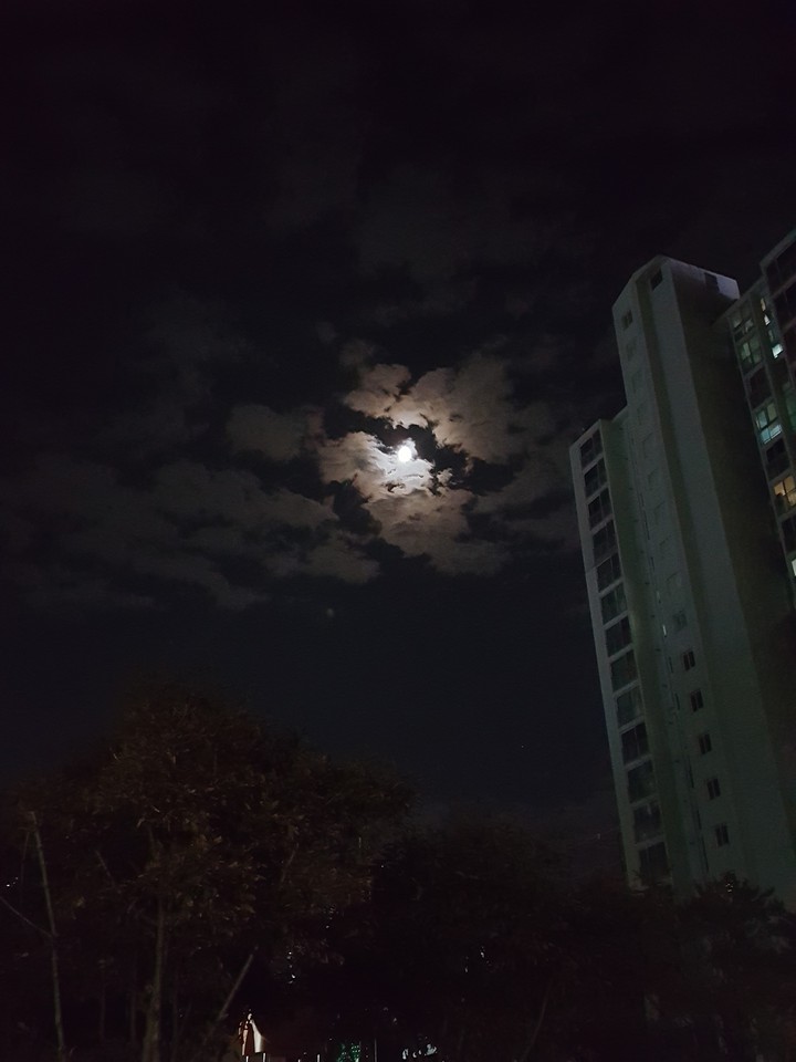 The dazzling moon