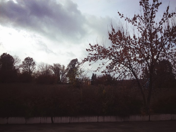 Nature