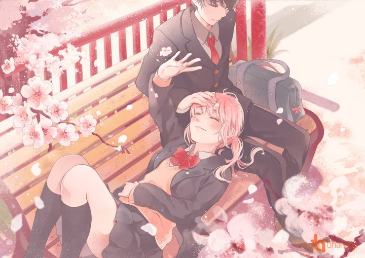 anime