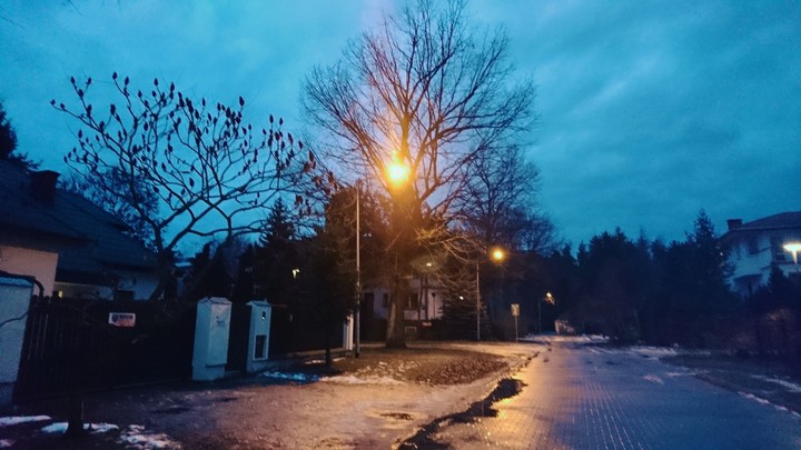 Winter Snow Warszawa