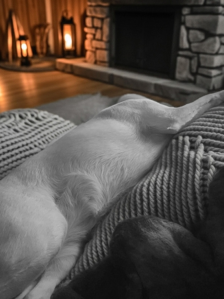 .