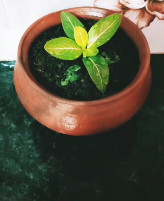 ?