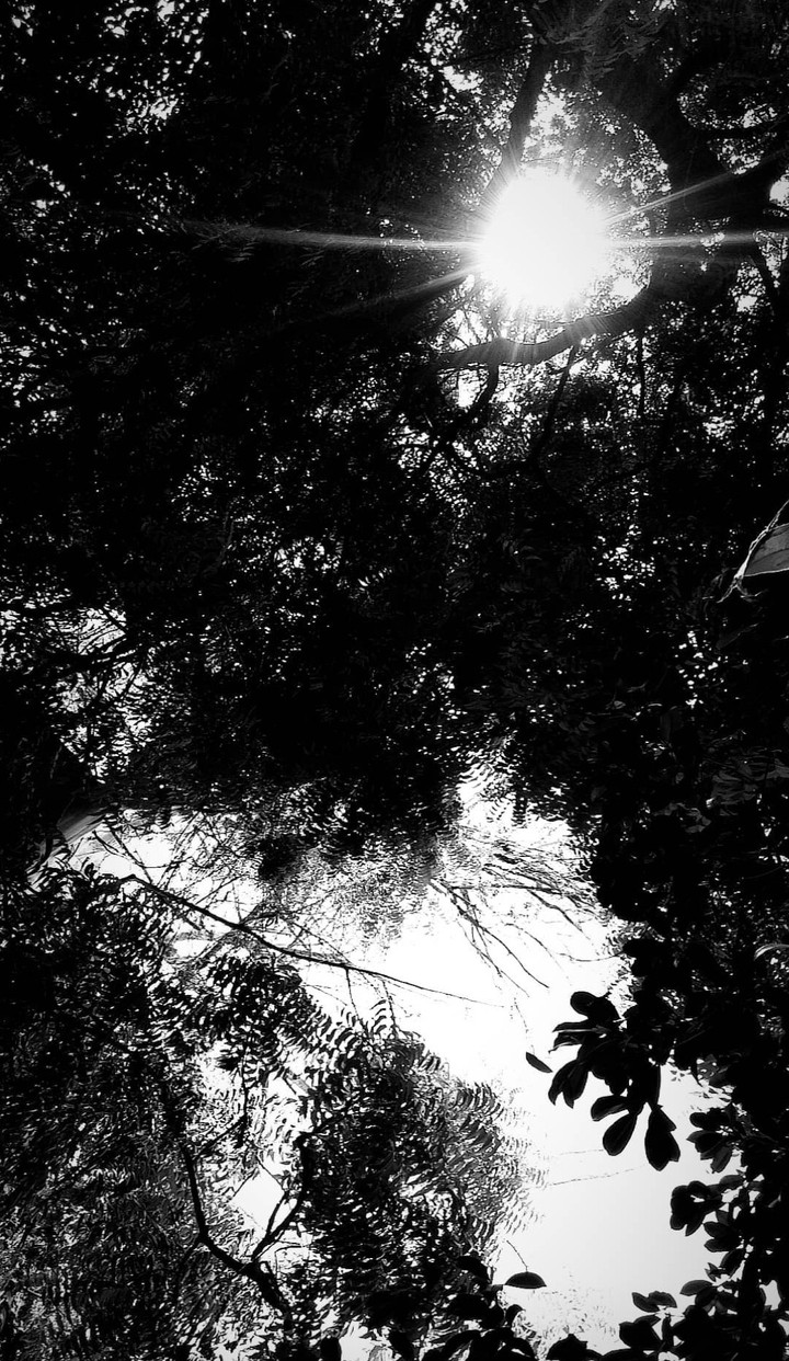 Keep your face to the sun and you will never see the shadows