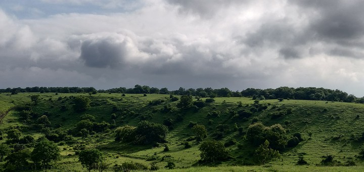 beautiful day and view from tracking