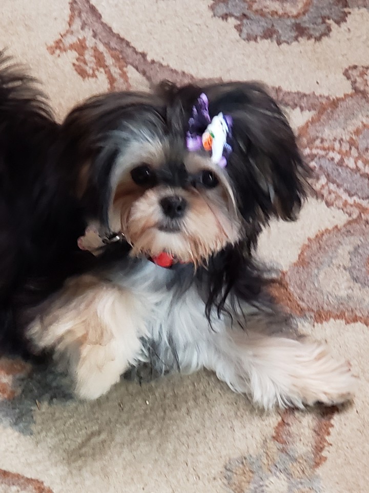 Coco