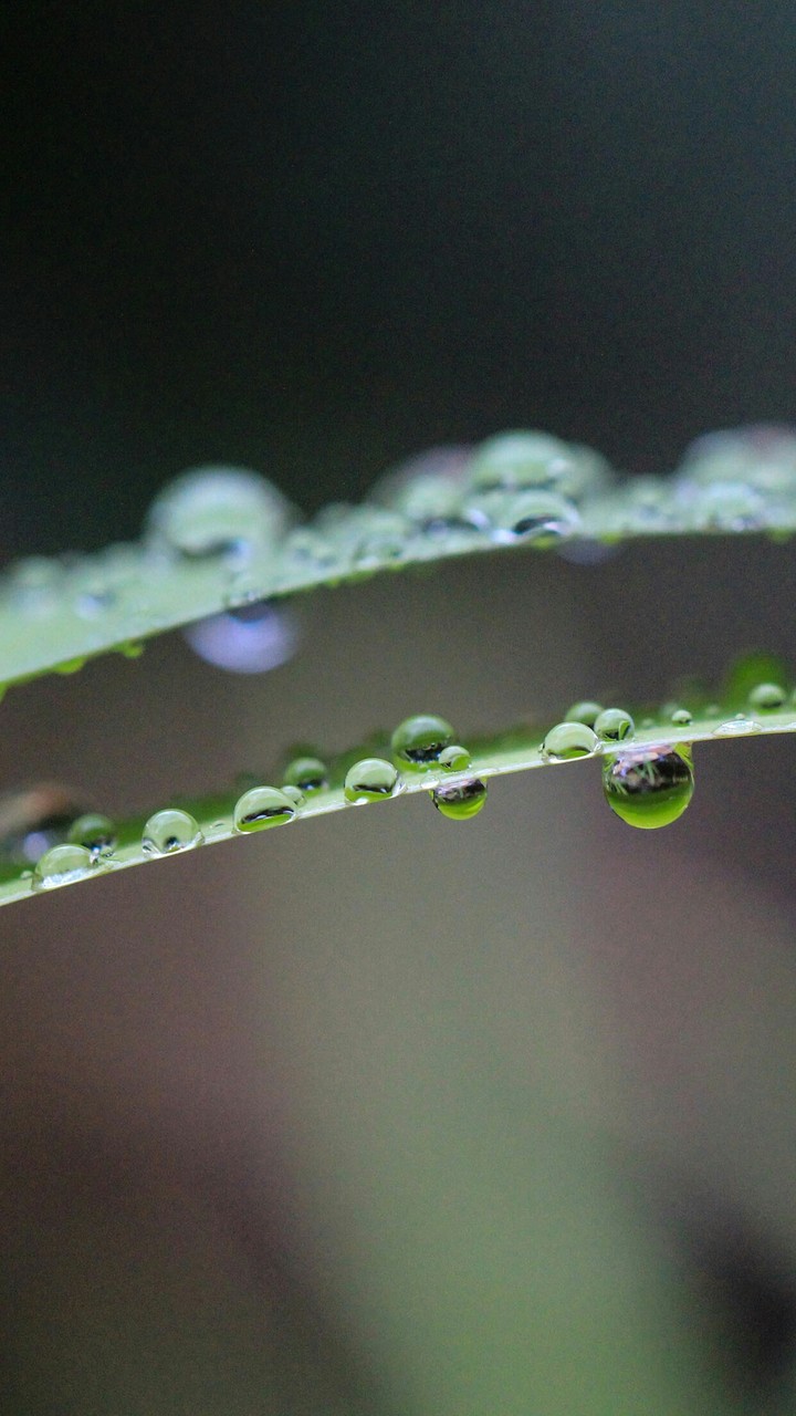 rain drop