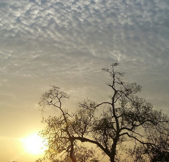 sun
