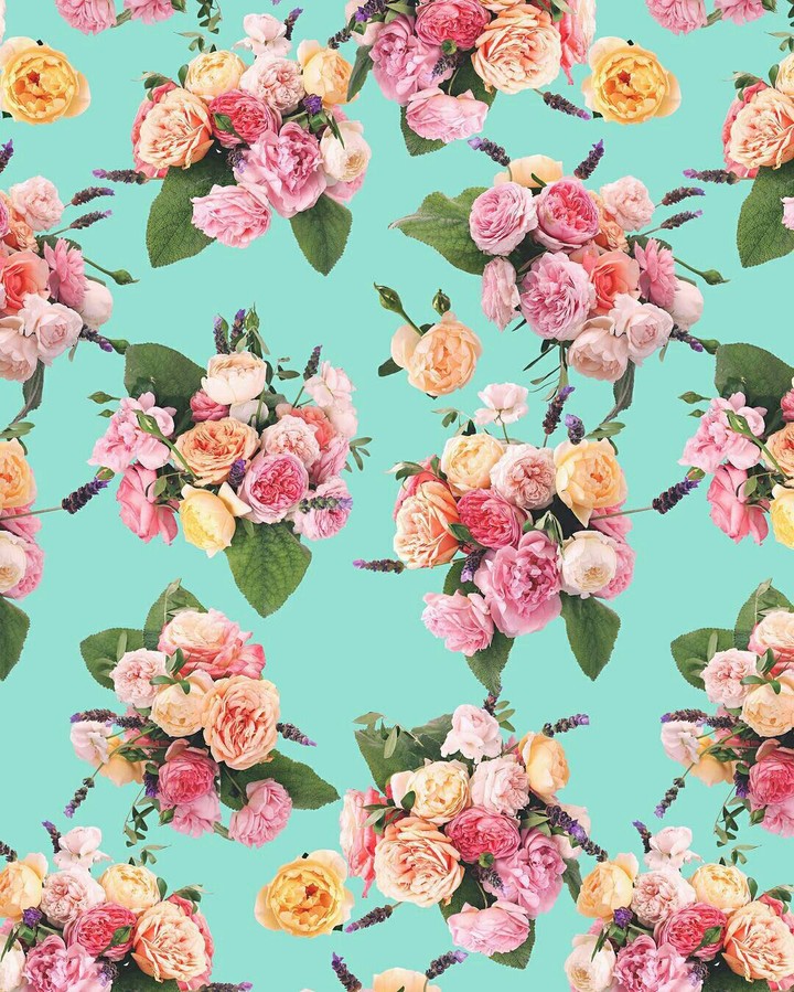 Roses bouquet blossom