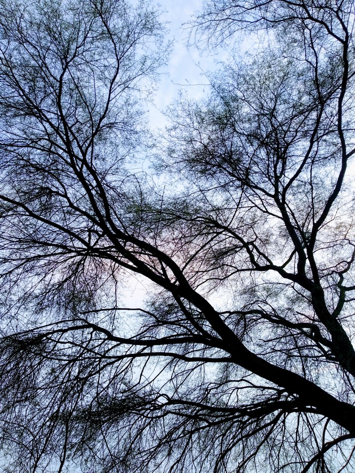 Evening