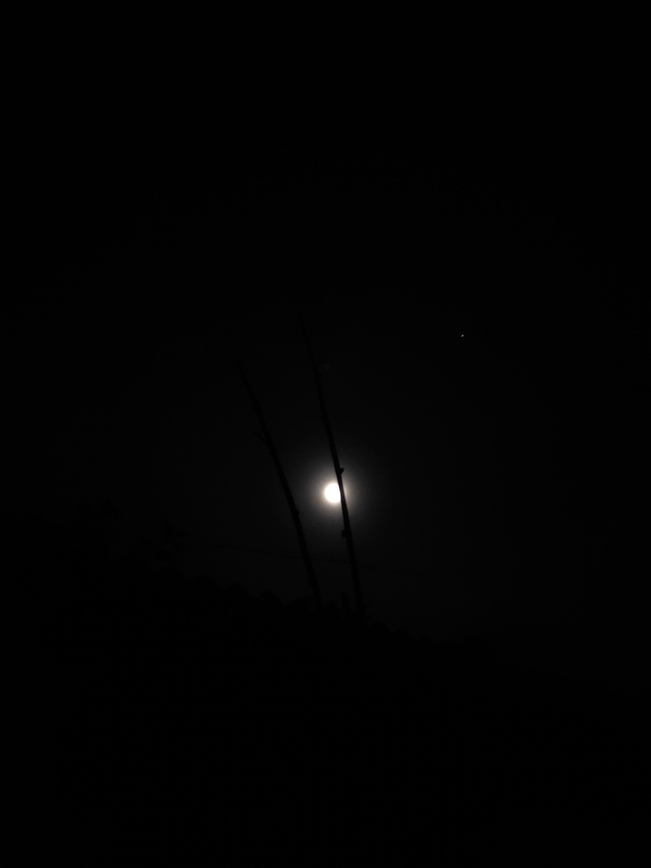 night