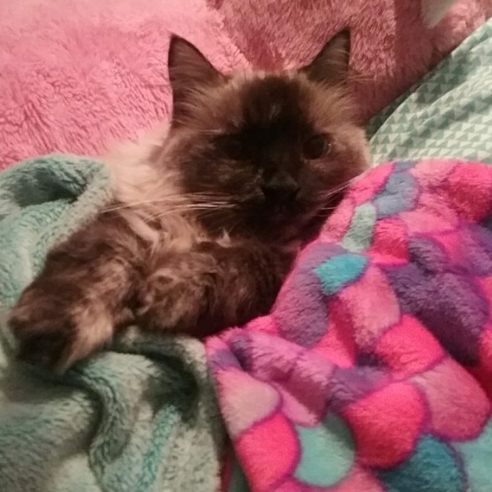Lily