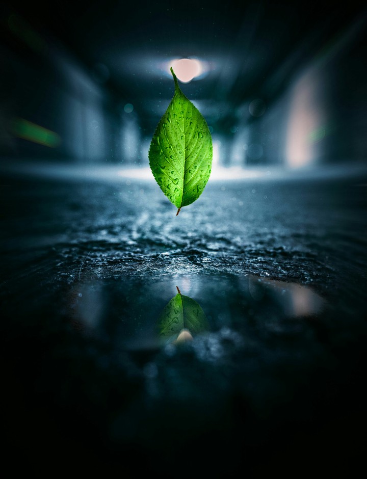 reflection