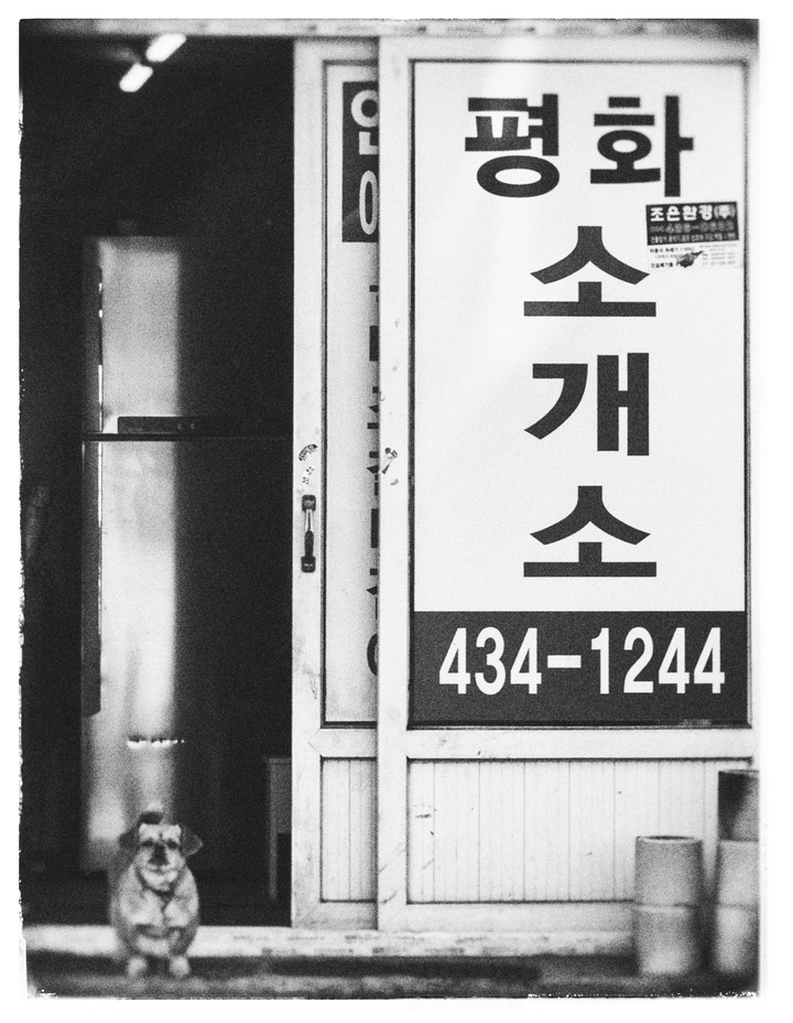 흑백사진