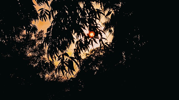 sunsets are always cool